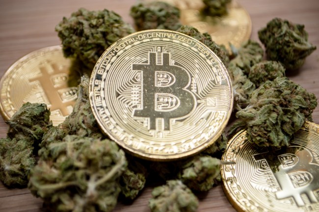 irish drug dealer loses bitcoin