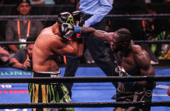 deontay wilder punch