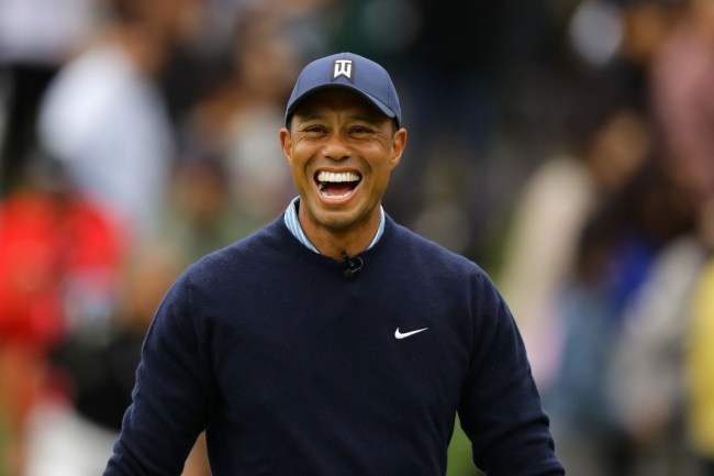 tiger woods dogs fetch golf balls