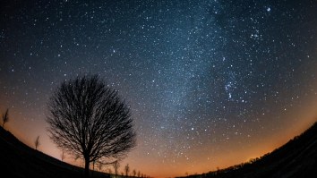 Scientists Are Baffled By Massive Galaxy Just Dying Without Warning If You’re Looking For Something To Panic Over