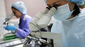 Scientists Baffled After Discovering New Mysterious Virus That Has No Recognizable Genes