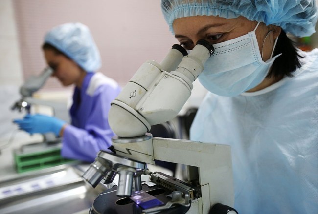 A new form of virus that had no recognizable genes. The mysterious yaravirus was collected from amoebae in an artificial lake in Brazil.
