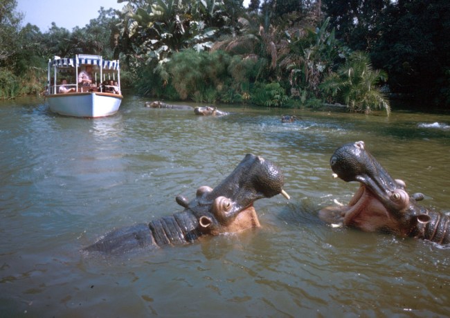 Video show boat in Jungle Cruise ride sinks with guests inside at Disney World. 