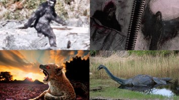 Which Legendary Creatures Might Actually Exist? Here Are The Ones Most (And Least) Likely To Walk (Or Swim) Among Us