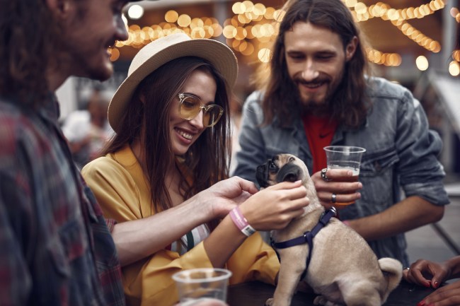 brewery reunites woman with dog