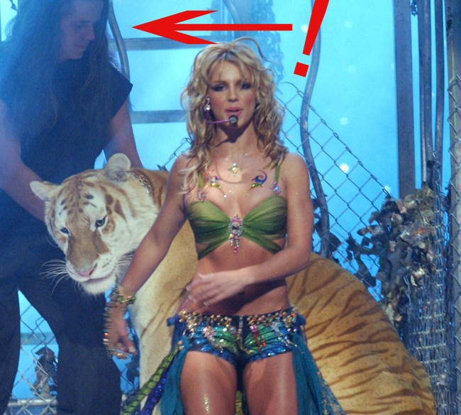 Britney Spears Has Ties To Doc Antle Of Tiger King Fan Reactions