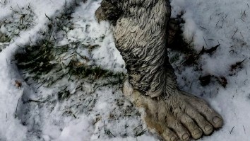 There Have Been Four Recent Bigfoot Sightings In A North Carolina Town And People There Are Freaking Out