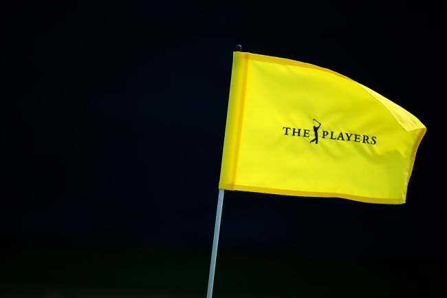 the players no fans
