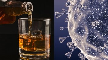A Bulgarian Doctor Claims Pounding Liquor Can Prevent Coronavirus So You Might As Well Stock Up Even Though It’s Not True