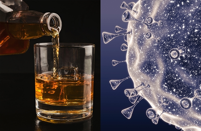 does liquor prevent coronavirus