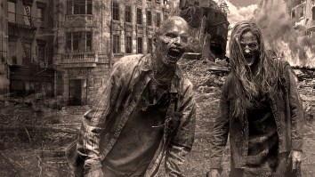 Scientists Believe A Zombie Outbreak Could Actually Happen Thanks To A Parasite Many People Already Have