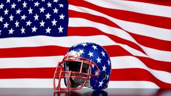 Brilliant Sports Cartoonist Redesigns Every NFL Team Logo As If They’re All Quarantined