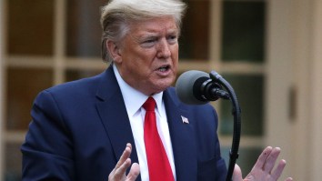 President Trump Wants Sports Back And Has Begun Consulting With Sports Commissioners About Reopening The Economy