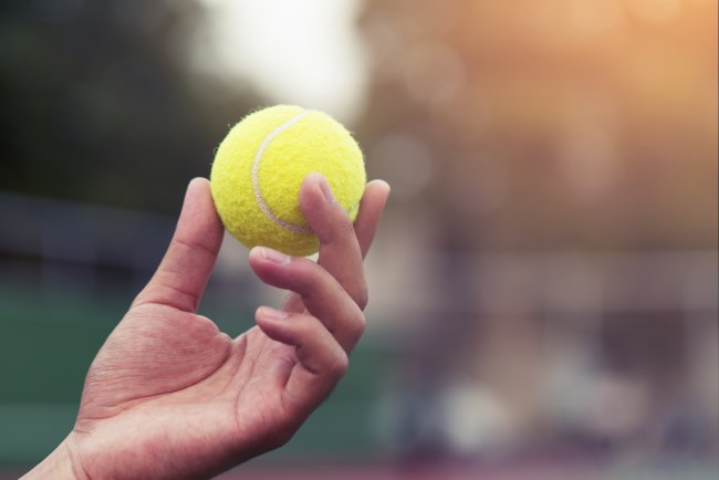 Tennis Ball