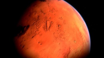 UFO Expert Believes He Has Found Evidence Of Alien Life On Mars In Image ‘Deleted By NASA’