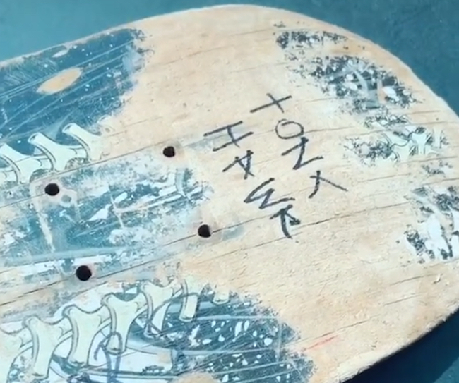 Tony Hawk Little Boy Gift TikTok