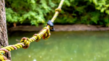Viral Video Of Woman Appearing To Defy The Laws Of Physics As She Falls From A Rope Swing Explained