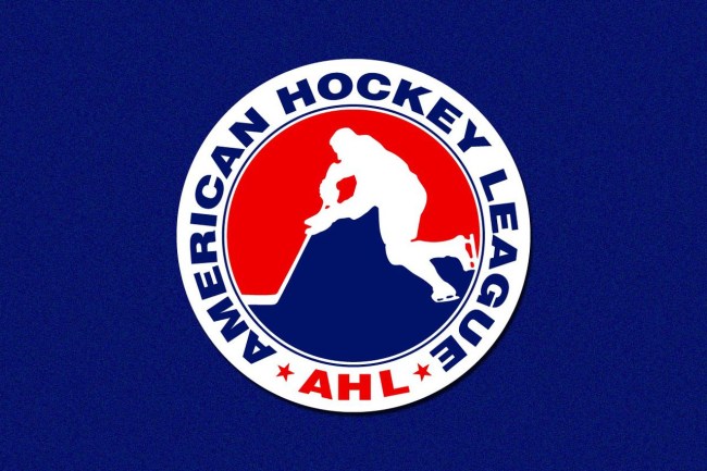 ahl cancels remainder of season