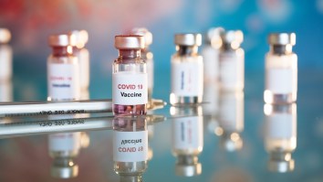 Israeli And Dutch Scientists Have Successfully Isolated Antibodies: A ‘Significant Breakthrough’ Towards A Cure