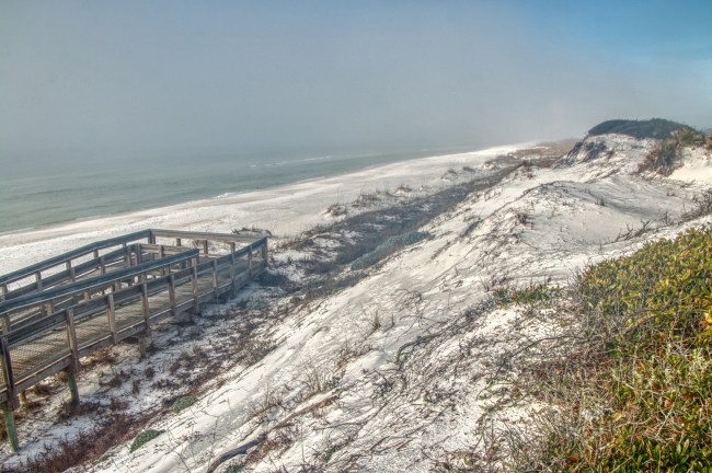 Grayton Beach State Park Florida #1 beach in America