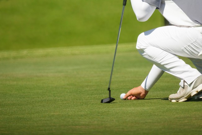 rbc heritage picks preview odds