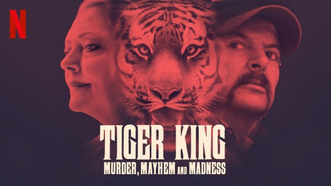 New Tiger King Episode Coming About 2003 Siegfried Roy Tiger Attack