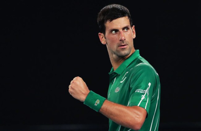Novak Djokovic brainpower making toxins healthy
