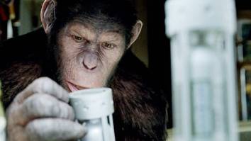 Monkeys Stealing Medicine In The Midst Of A Global Outbreak Actually Happens Quite A Lot, According To Movies