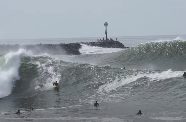 The Wedge Surfing Highlights