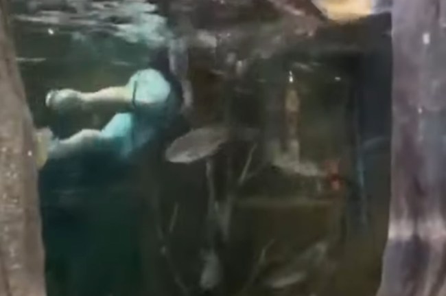 Bass Pro Shop Swim