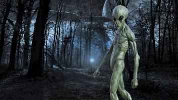 U.S. Space Expert Claims Alien Life Forms May Have Previously Existed On Earth