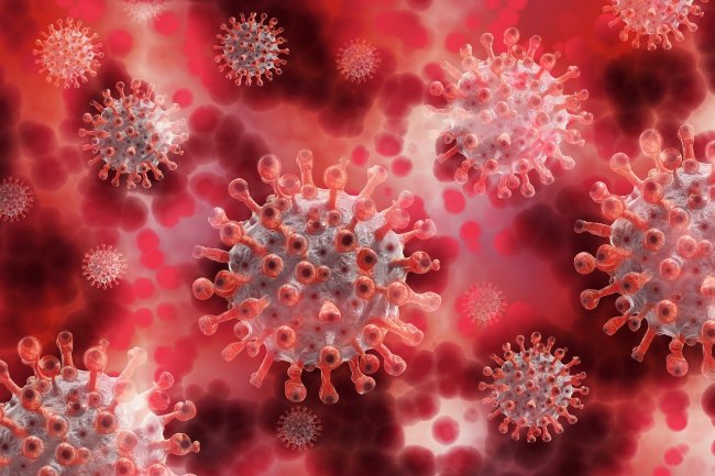dexamethasone possible covid 19 cure