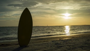 This Skimboard x Scooter Hybrid Makes Riding River Waves Look Insanely Fun