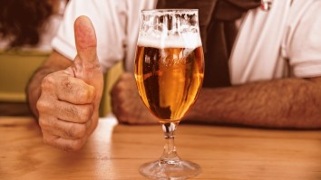 You Might Actually Be Hurting Your Brain By Not Having A Couple Of Drinks Every Day According To A Recent Study