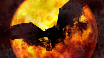 New Research Claims Coronavirus May Have First Evolved In Bats Way Back In 1948, Is Still Evolving