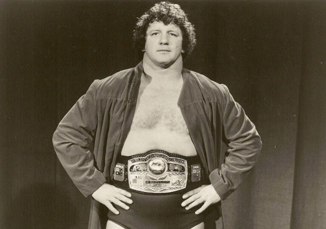 Terry_Funk_NWA_Champion