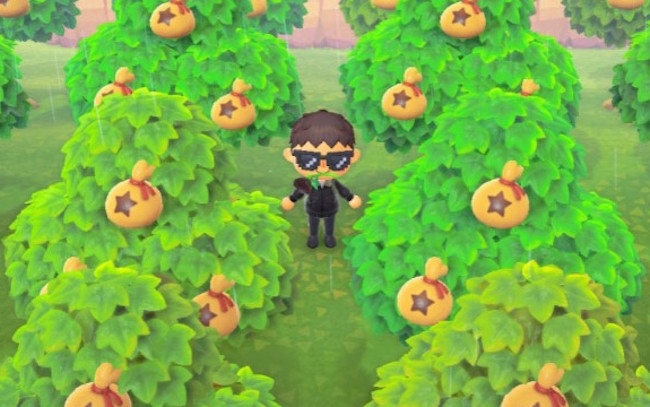 get paid play animal crossing job