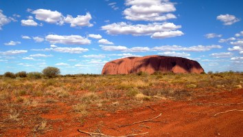 This Aussie Cracking His Whips To ‘Cotton Eye Joe’ Reminded Me Not Everything About The Internet Is Awful