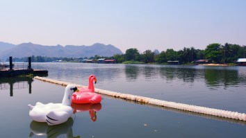 Two People On An Enormous Pool Swan Needed An FDNY Rescue After Getting Sucked Out Into The East River