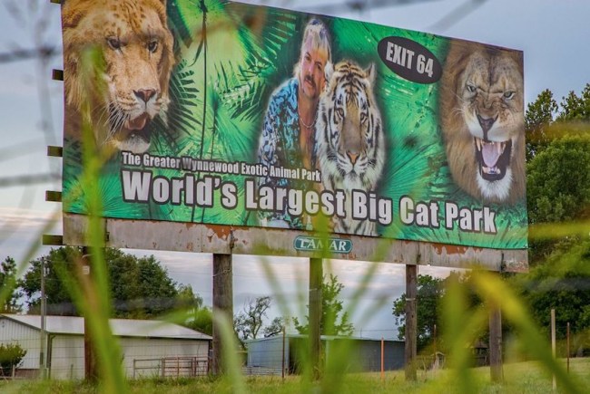 joe-exotic-tiger-park-human-remains