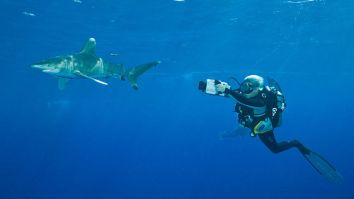 A Woman Working On A Documentary About Sharks Was Attacked By One…During Her Day Off From Filming