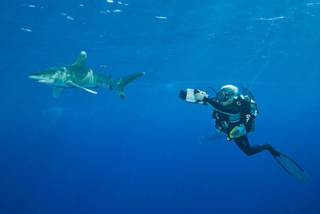 shark documentary woman attacked day off