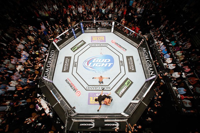hypothetical celebrity ufc fights results