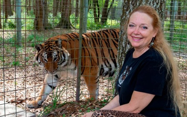 Carole Baskin Reportedly Asking For Big Fee For Tiger King Season 2