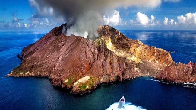 Sharks Discovered Living Inside An Active Volcano Baffle Scientists