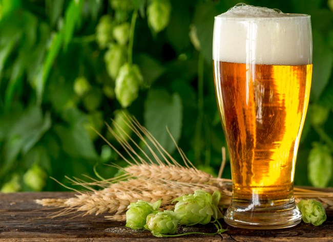 climate change altering beer taste hops