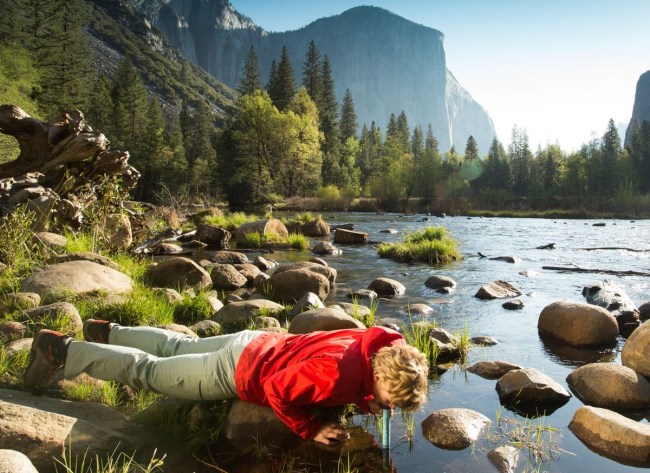 LifeStraw Personal Water Filter Deal