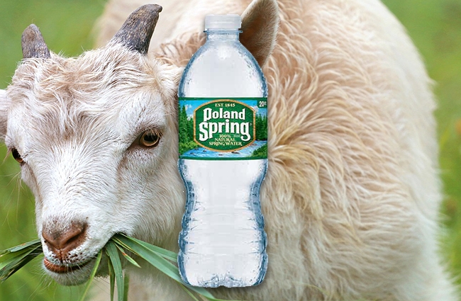 what favorite bottle water says about you