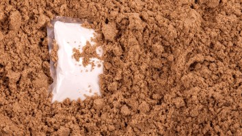 Beachgoer Stumbles On Over $1 Million Worth Of Cocaine Washed Up On The Sand In Florida