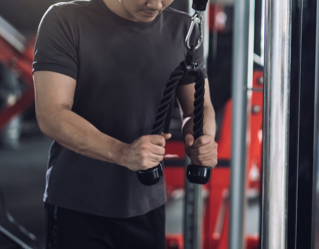 Cable Crunches How To Abs